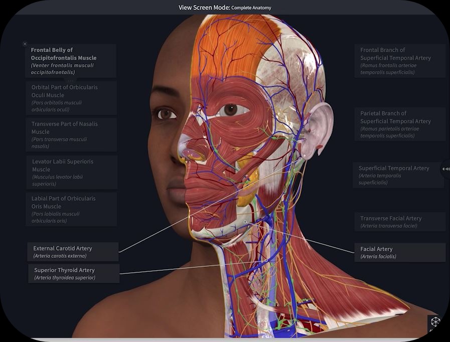 complete anatomy: 3d virtual human